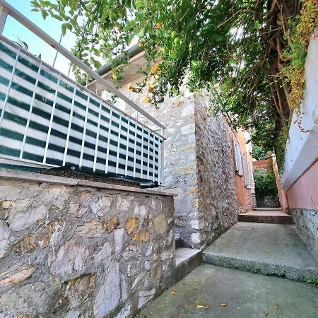 Appartamenti La Terrazza Sulle Ghiaie - Goelba 费拉约港 外观 照片