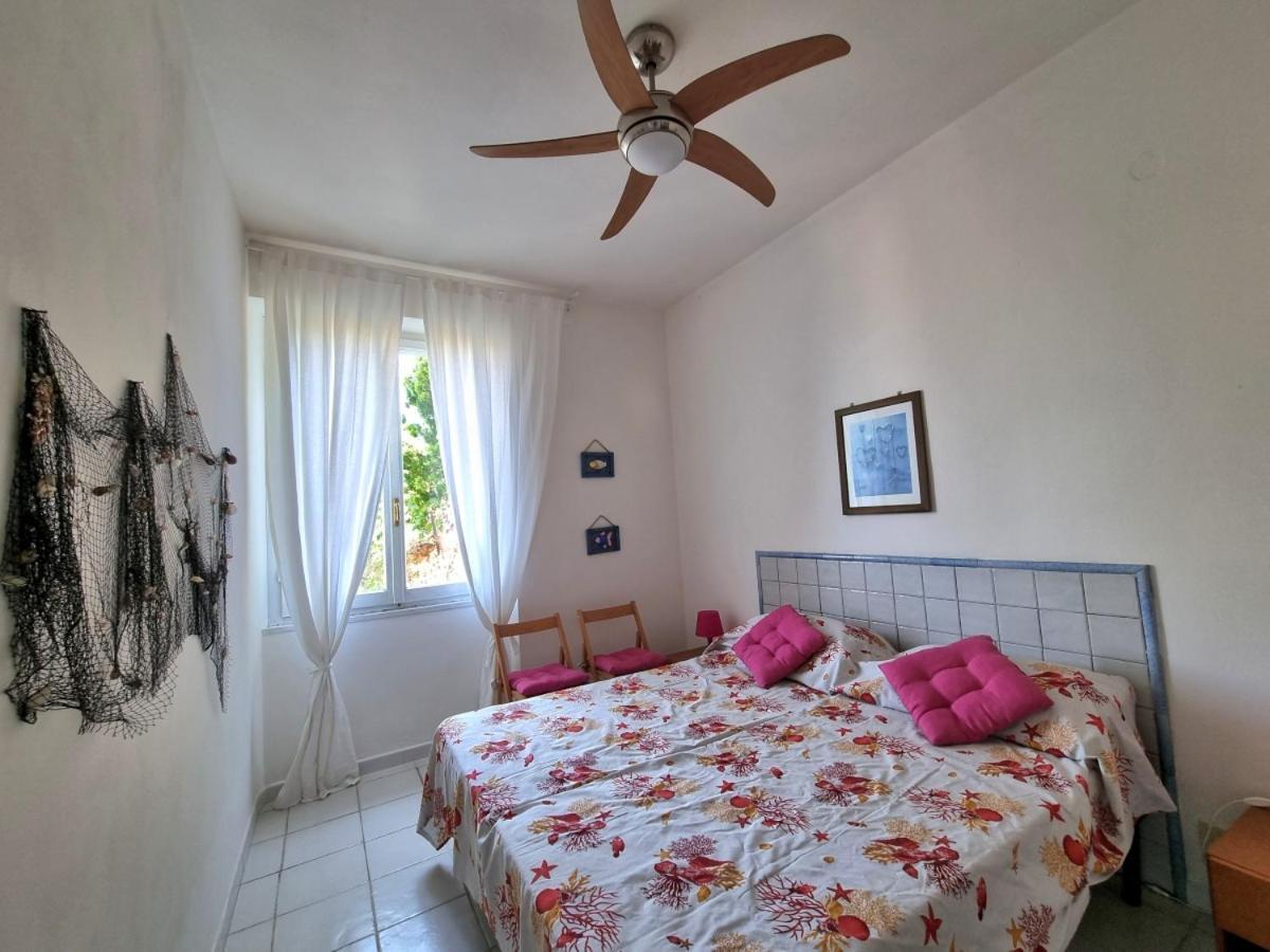 Appartamenti La Terrazza Sulle Ghiaie - Goelba 费拉约港 客房 照片